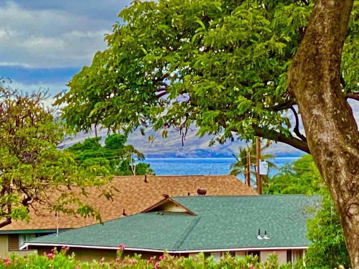 Maui-Licious By The Beach Kihei Esterno foto