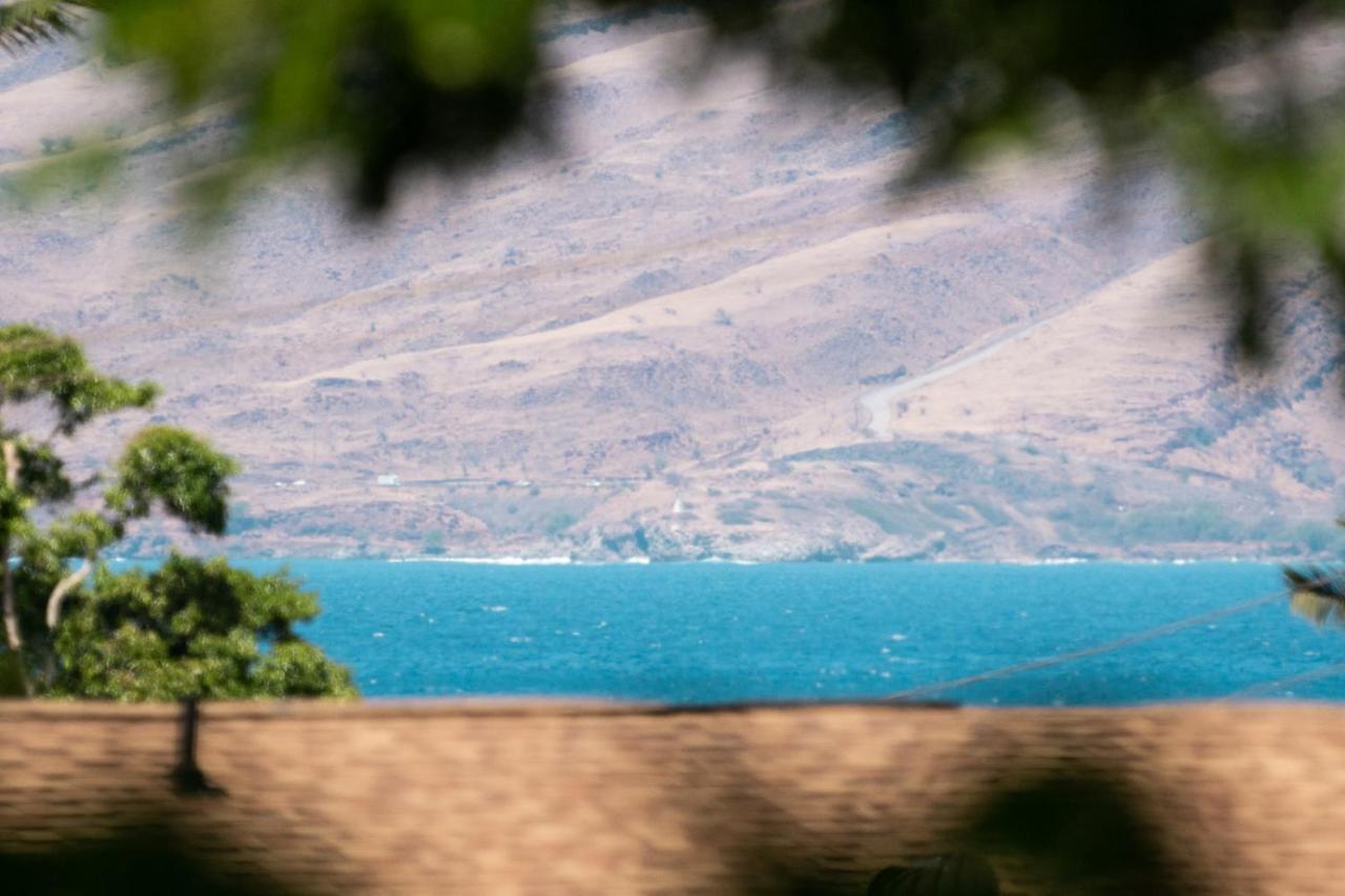 Maui-Licious By The Beach Kihei Esterno foto