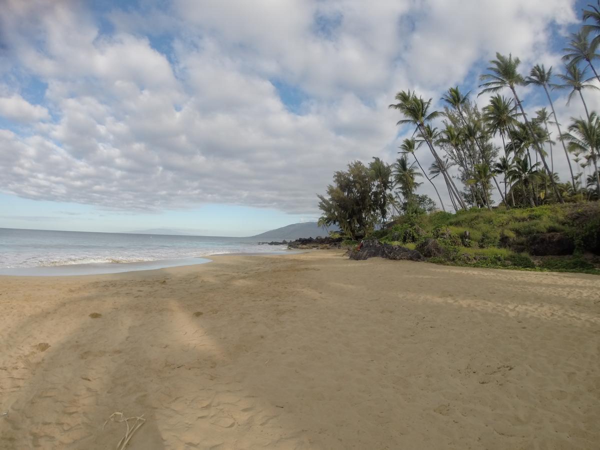 Maui-Licious By The Beach Kihei Esterno foto